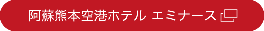 阿蘇熊本空港ホテル エミナース 公式サイト